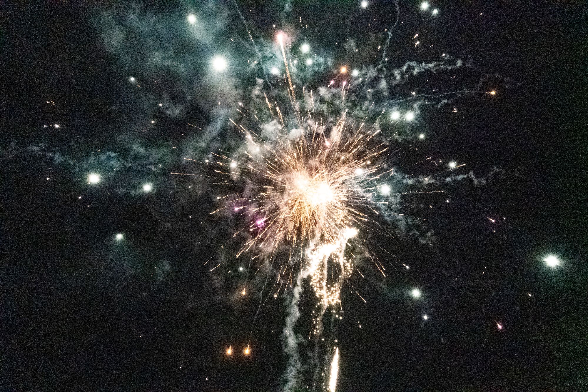 00_News/Weihnachtsempfang 2024/DSC09758.jpg